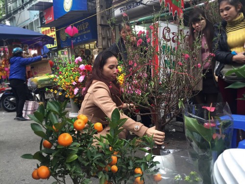 Hang Luoc Flower Market in Hanoi's Old Quarter - ảnh 11